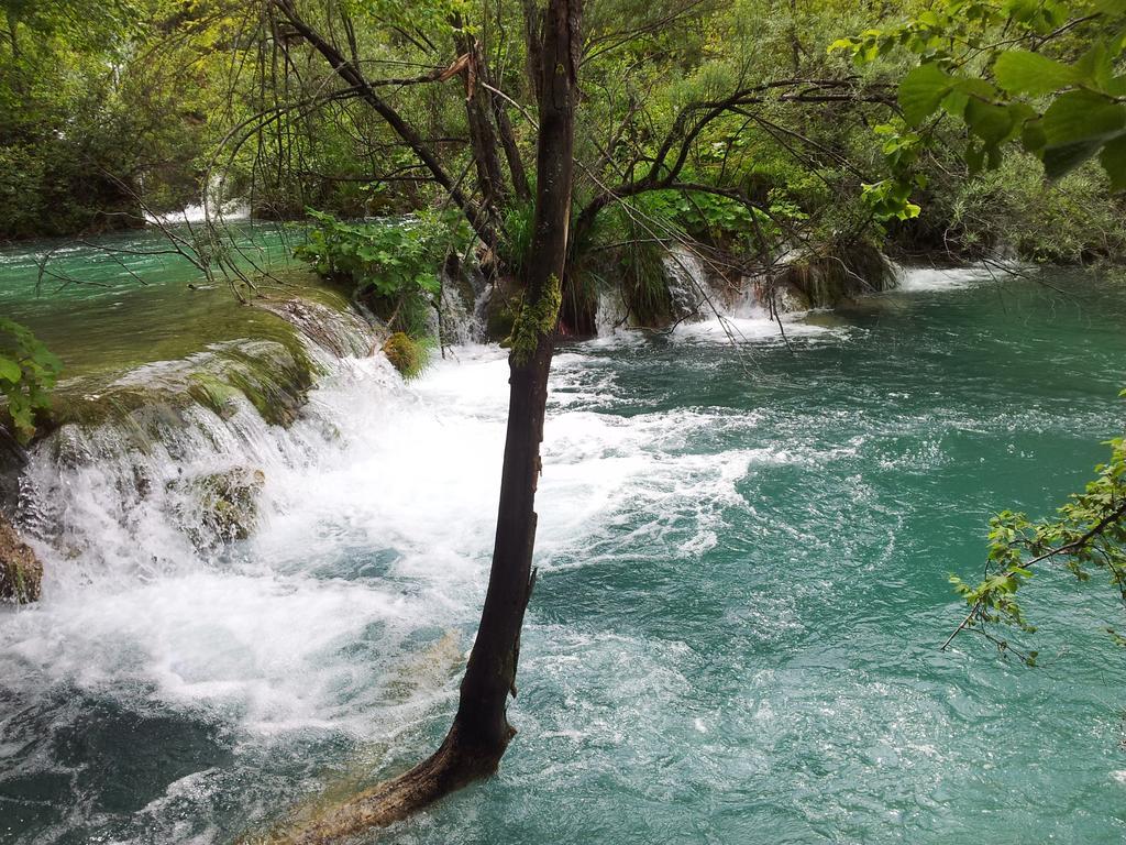 Guest House Family Varda Plitvice Lakes Plitvicka Jezera Exterior photo